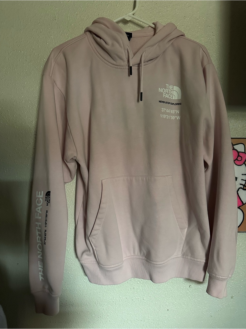 The North Face Men’s Pale Pink Crewneck Hoodie